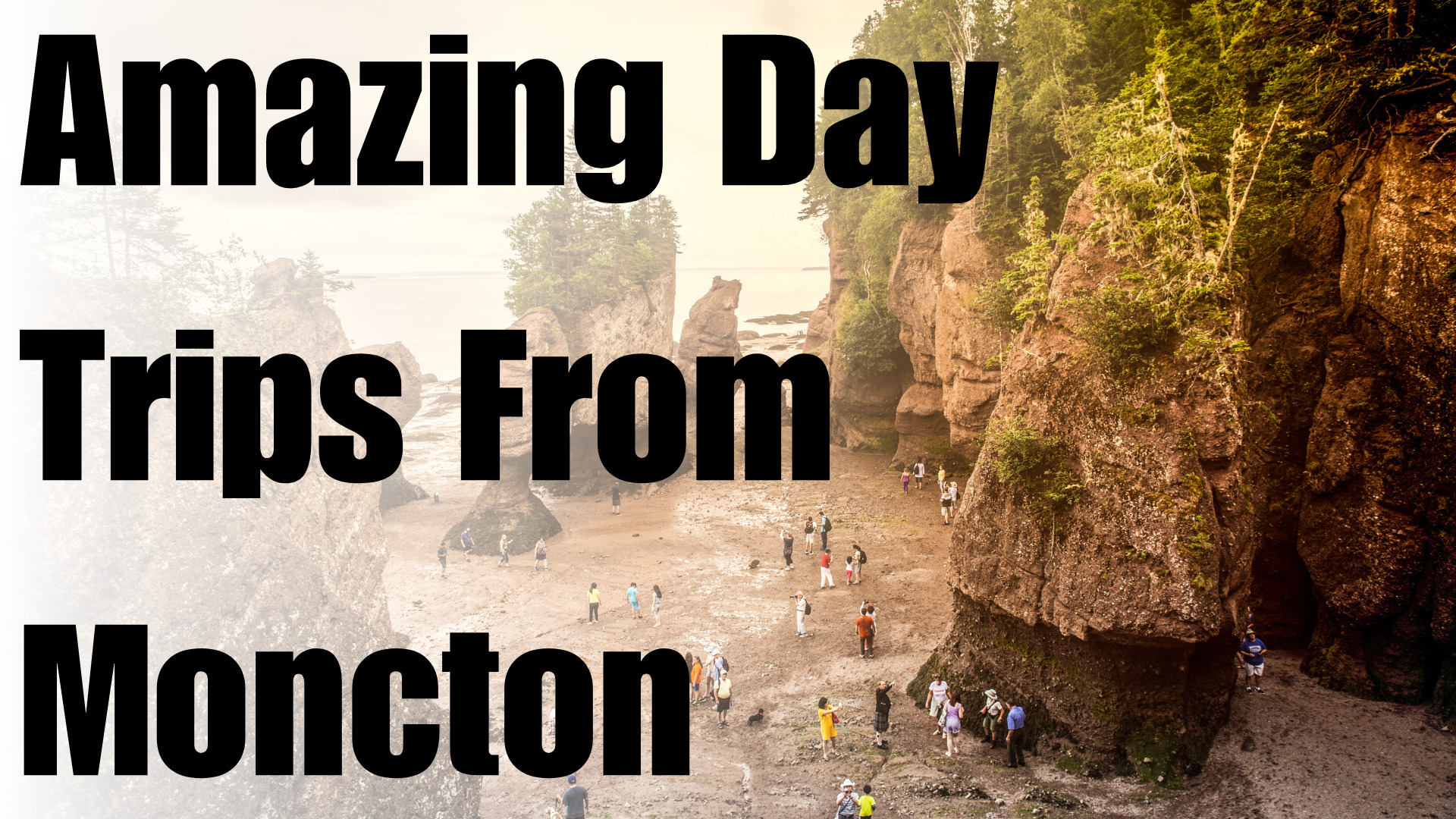 Amazing Day Trips from Moncton, NB