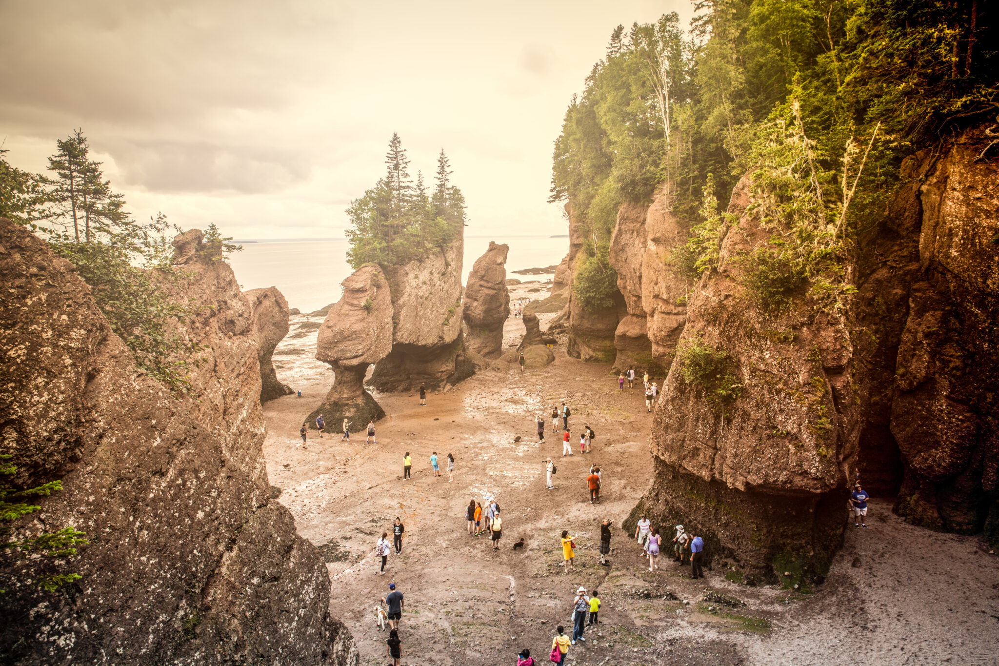 In Hopewell Cape, New Brunswick Canada, people walking on the Atlantic ocean floor at low tide. Hopewell Rocks, also known as Flowerpots, are rock formation seen at low tide. When the tide is high, they simply go back to being low islands.