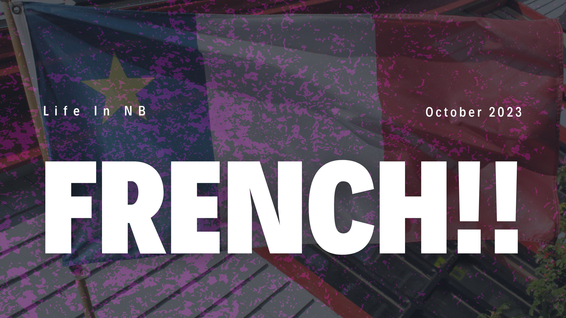 How Critical is Knowing French in New Brunswick?