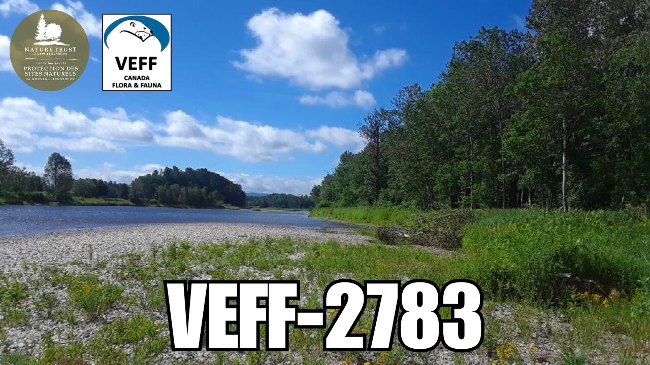 Mahsusuwi-monihkuk: A New Name for a Storied Island